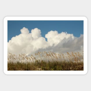 Clouds Over Beach Weeds Sticker